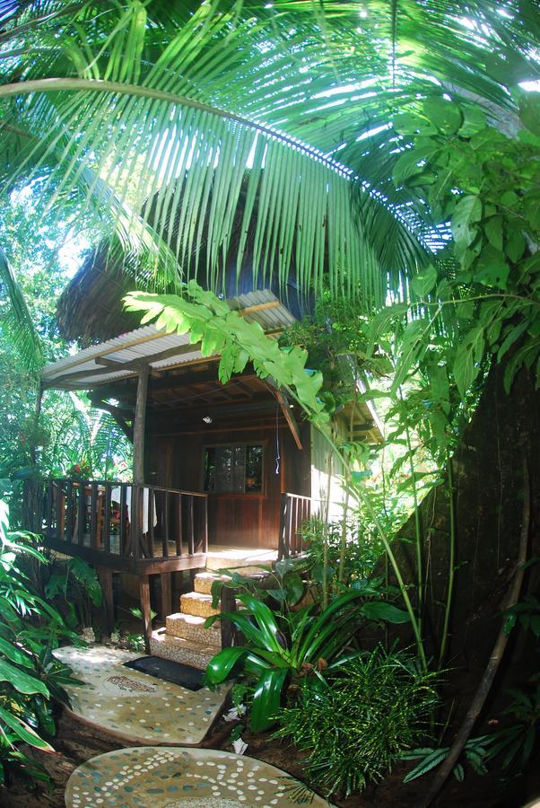 Red Frog Bungalows Surf Resort บาสติเมนตอส ภายนอก รูปภาพ